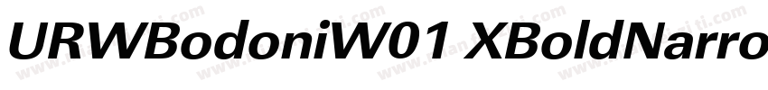 URWBodoniW01 XBoldNarrowD字体转换